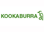 Kookaburra