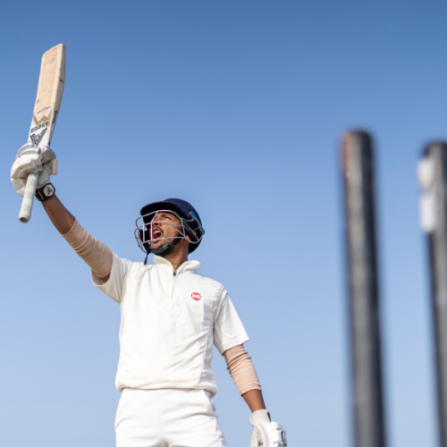 Cricket.png