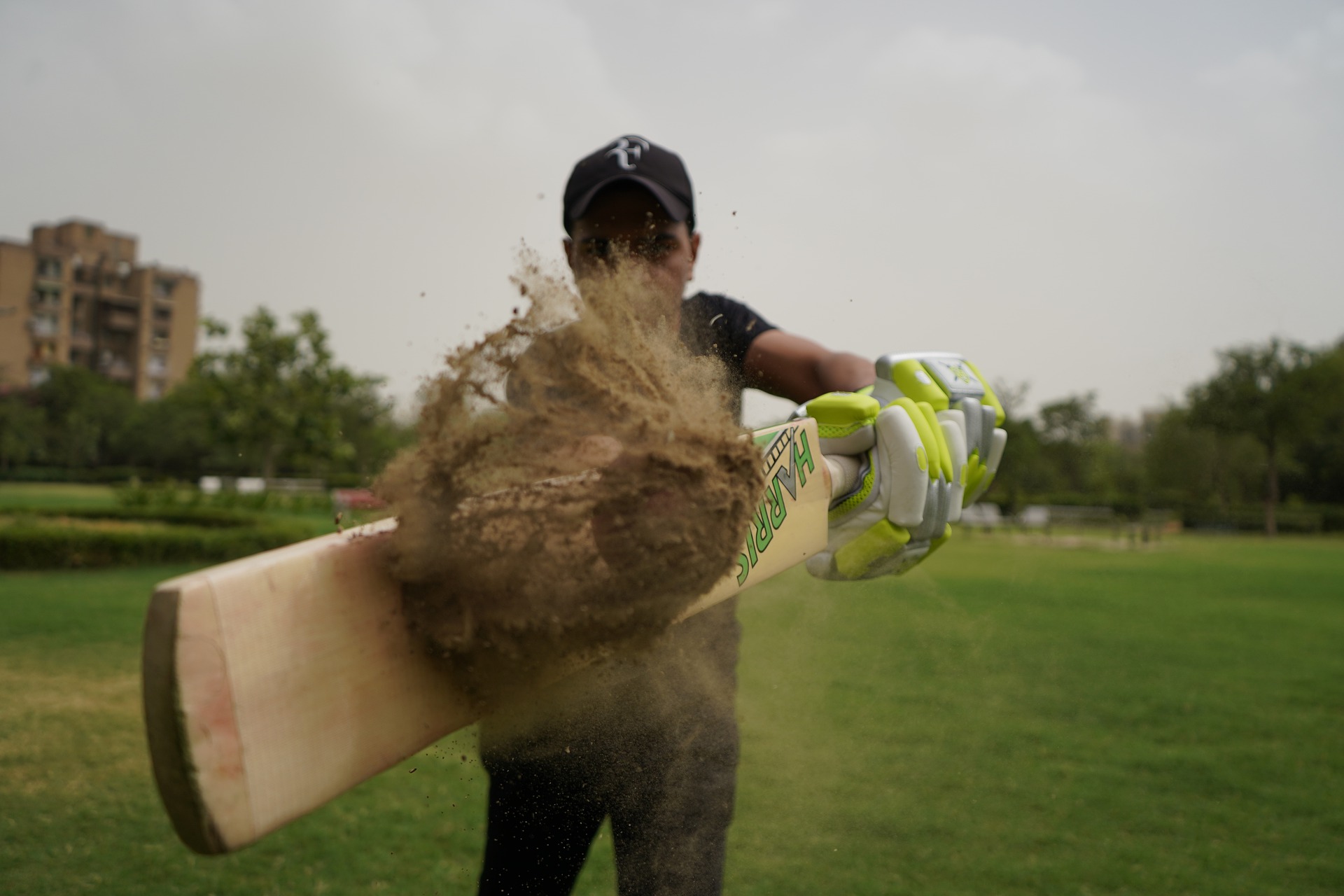 cricket-5365725_1920.jpg