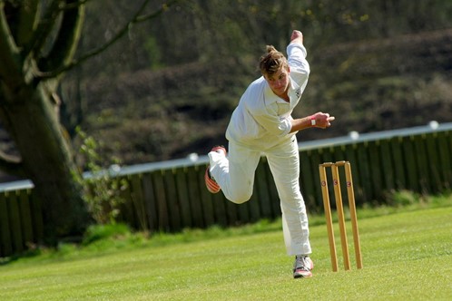 cricket.jpg