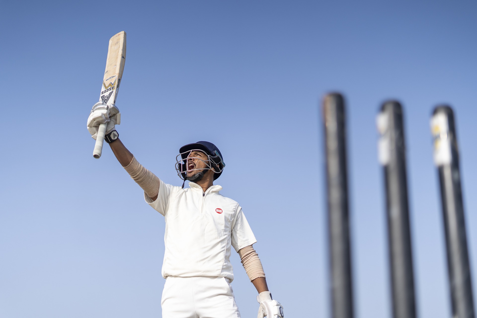cricketer-7015983_1920.jpg