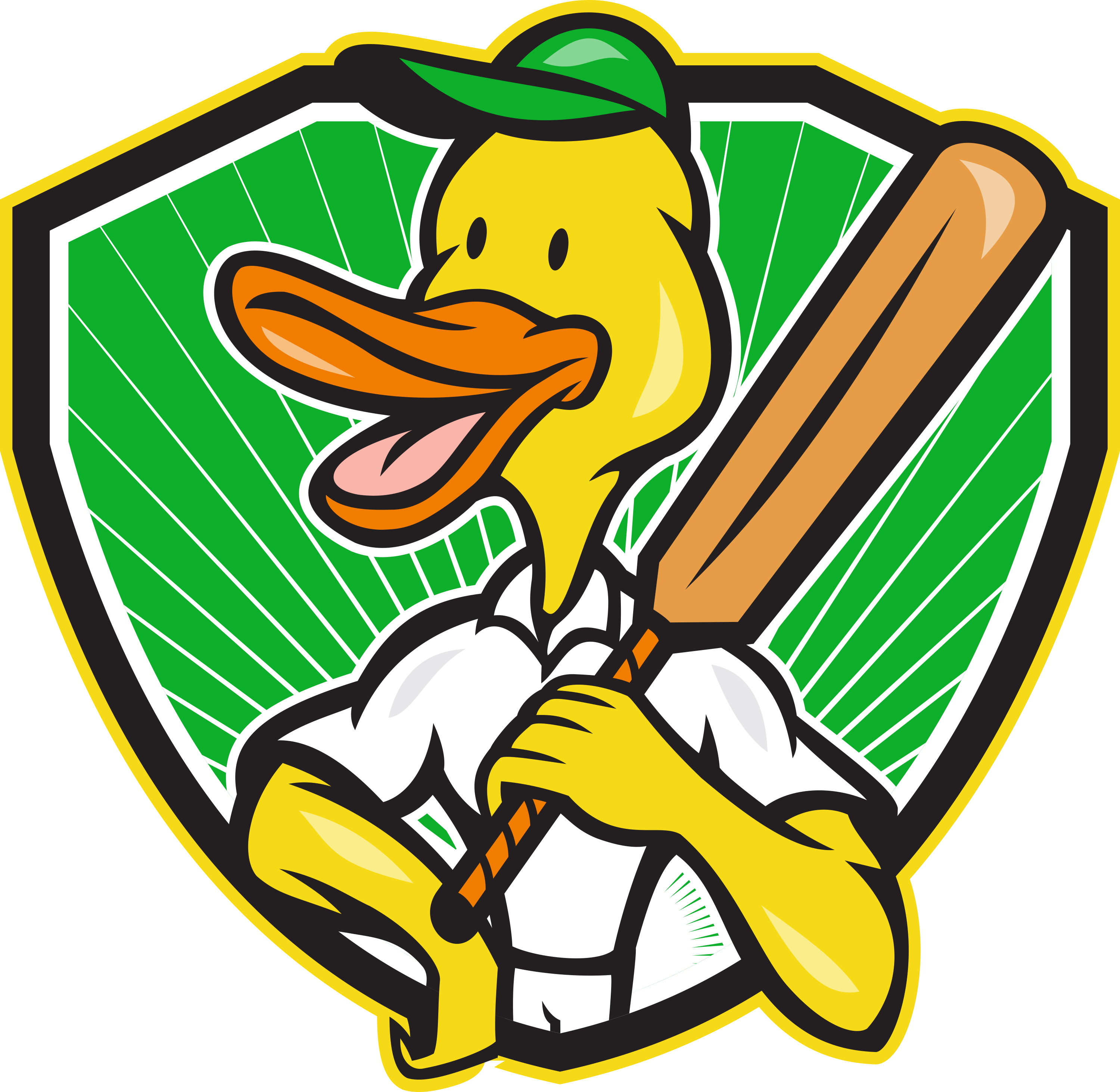 duck-cricket-player-batsman-cartoon_zJ9dSRC__L1.jpg