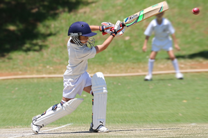 rsz_1cricket_v_baseball.png