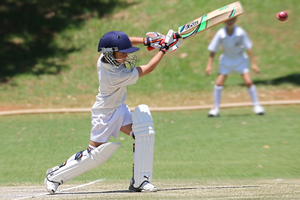 Baseball vs Cricket - Difference and Comparison