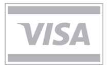 pay by visa
